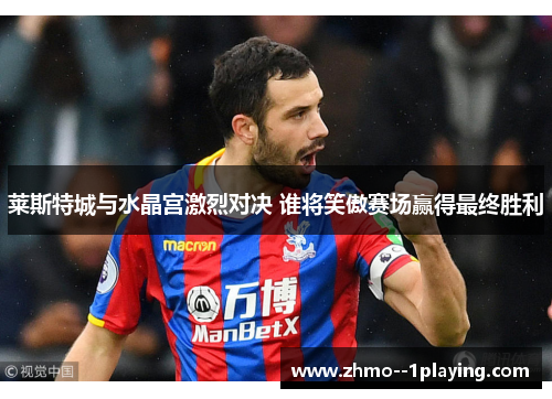 莱斯特城与水晶宫激烈对决 谁将笑傲赛场赢得最终胜利