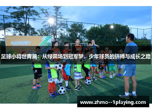 足球小将世青篇:从绿茵场到冠军梦,少年球员的拼搏与成长之路 足球小将世青篇:从绿茵场到冠军梦,少年球员的拼搏与成长之路