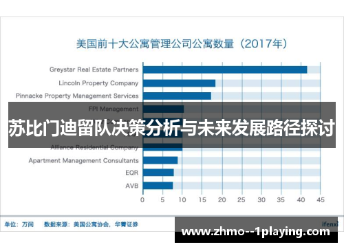 苏比门迪留队决策分析与未来发展路径探讨