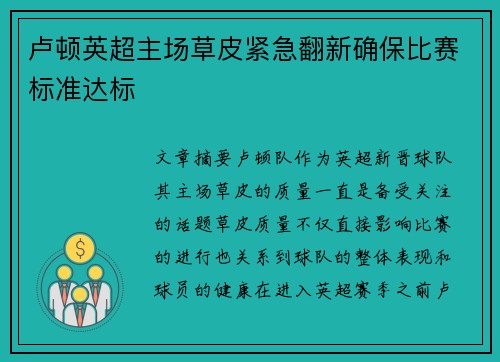 卢顿英超主场草皮紧急翻新确保比赛标准达标 卢顿英超主场草皮紧急翻新确保比赛标准达标
